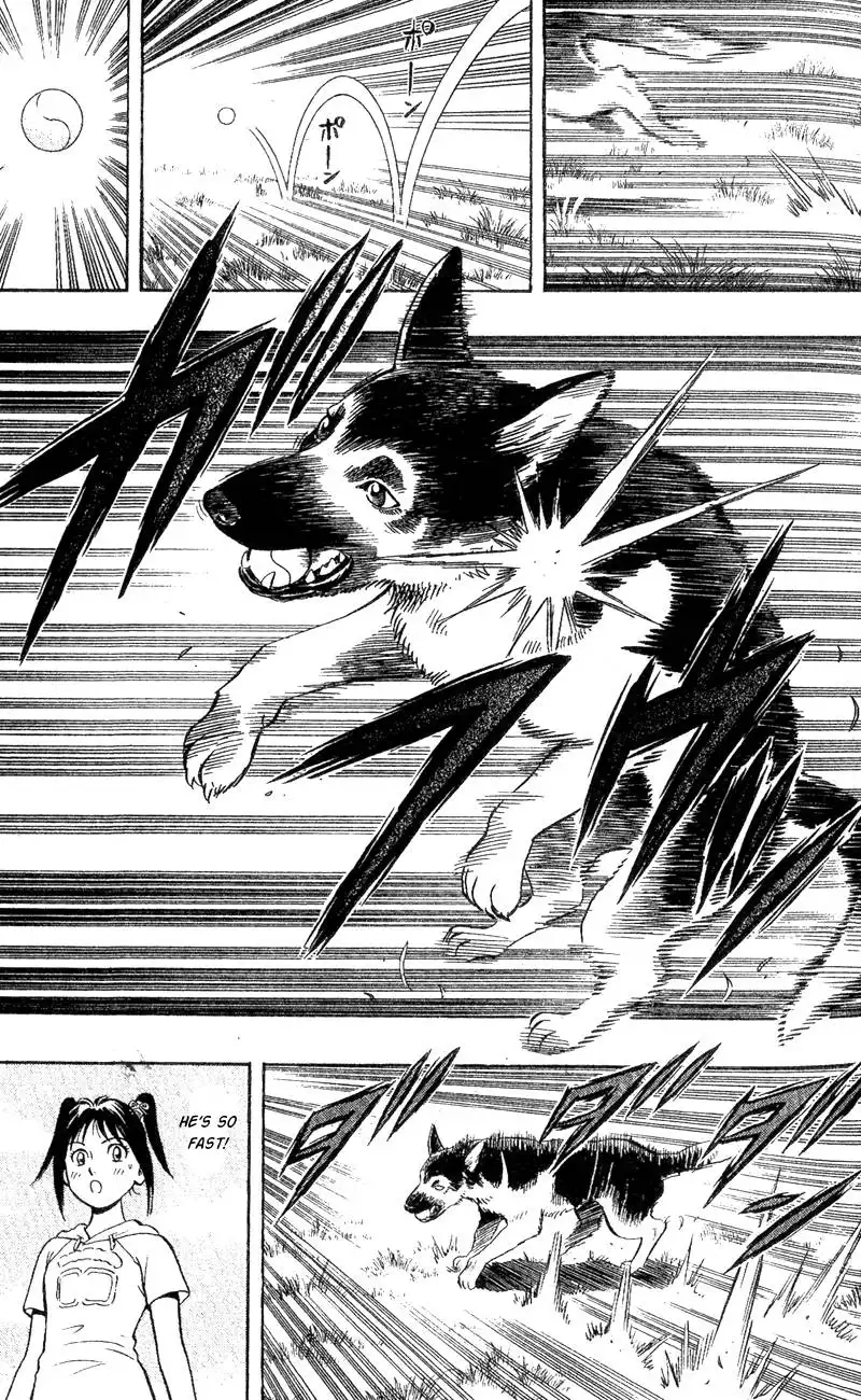 Animal Sense Chapter 3 35